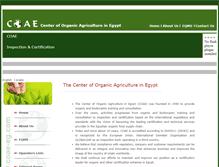 Tablet Screenshot of coae-egypt.com